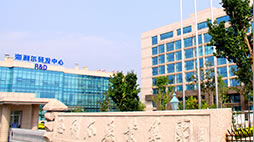 尊龙中国官网浪花志愿者开展系列社会志愿服务活动